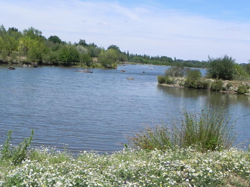 Terres De France - Natura Resort Pescalis Moncoutant Kültér fotó